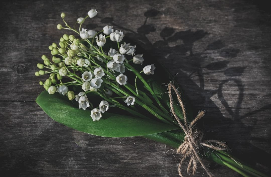 Flores blancas en tonos suaves